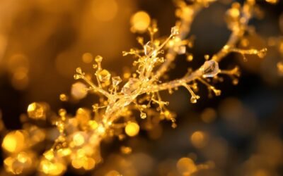 Can You See or Smell Asbestos?