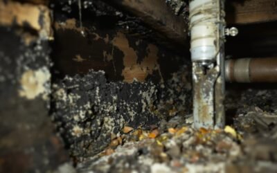 Why Older Homes in North Georgia Need Extra Caution During Renovations